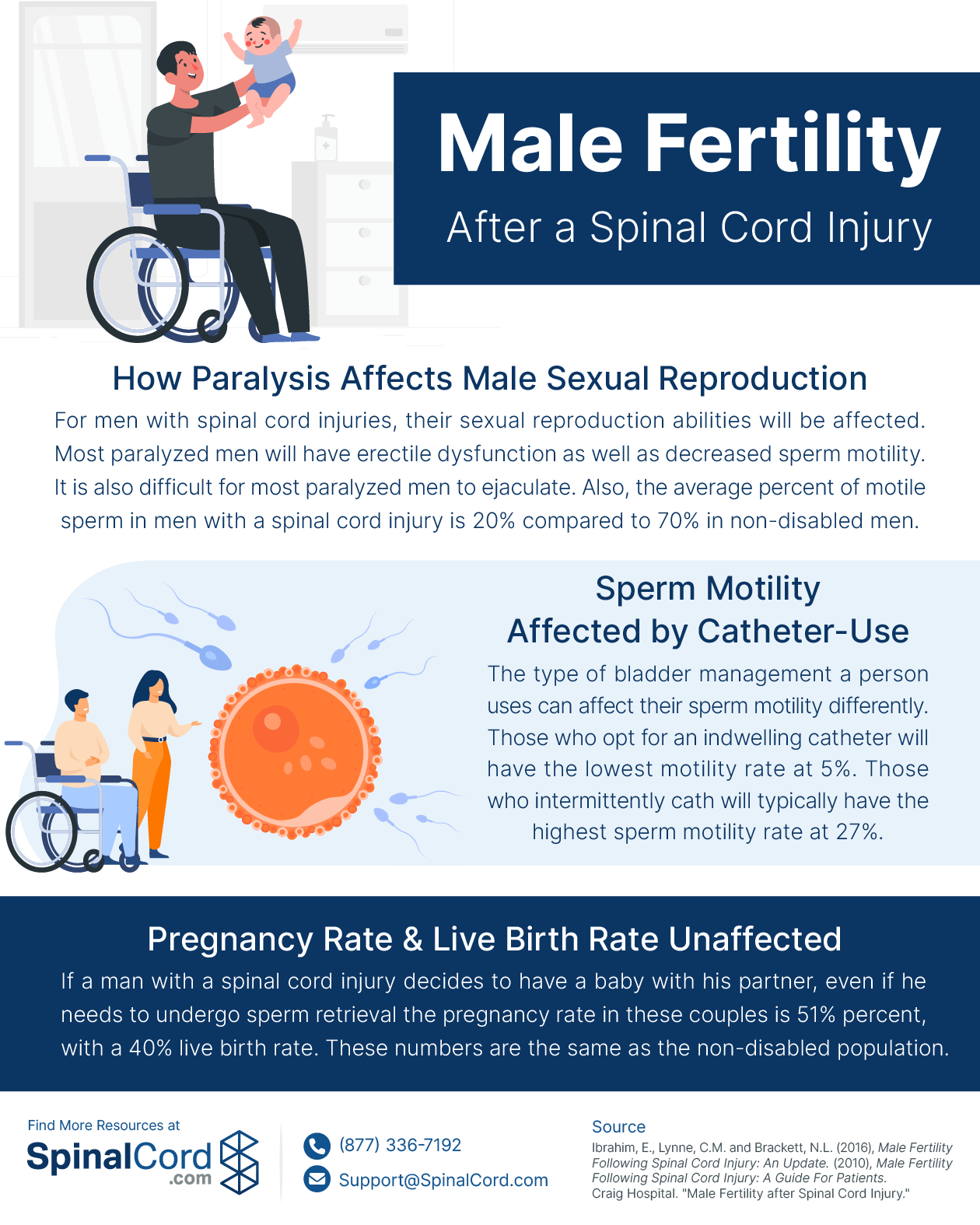 Male Fertility After a Spinal Cord Injury Infographic